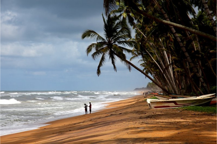 Wadduwa city image-3