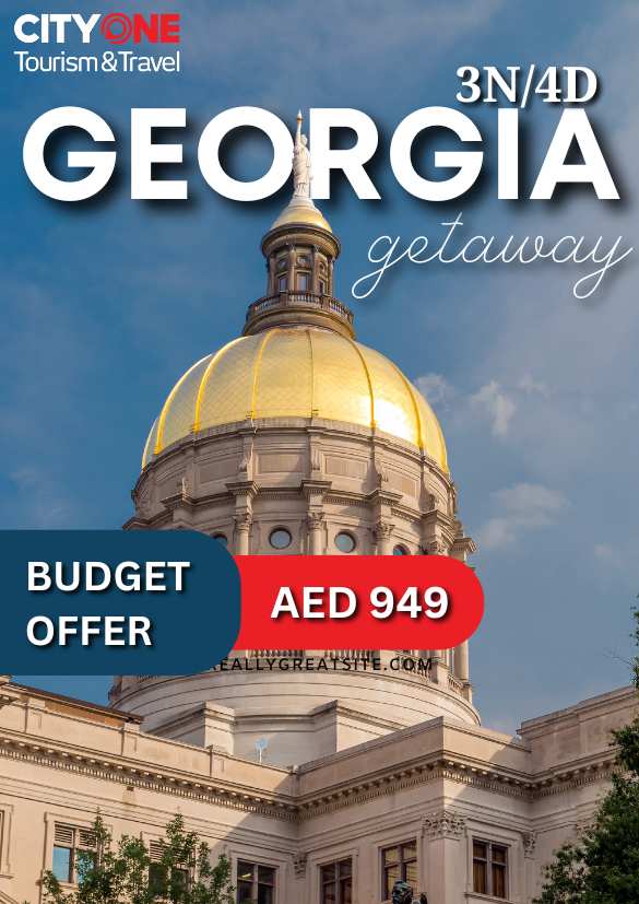 Georgia packages